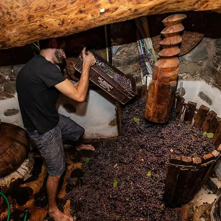 Vendégház Hatzikyprianou Museum Lazania