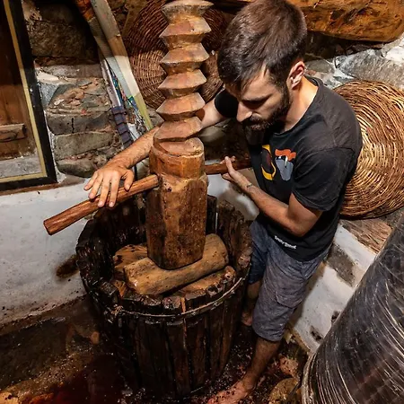 Hatzikyprianou Museum 3* Lazania