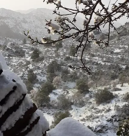 Hatzikyprianou Museum בית הארחה Lazania