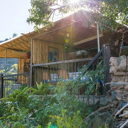 בית הארחה Hatzikyprianou Museum 3*