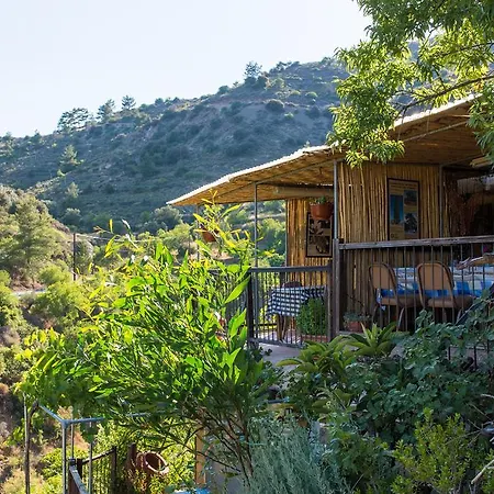 בית הארחה Hatzikyprianou Museum Lazania