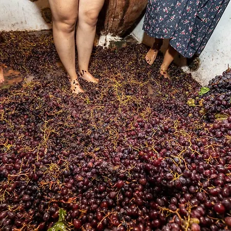 בית הארחה Hatzikyprianou Museum