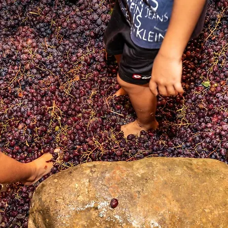 בית הארחה Hatzikyprianou Museum
