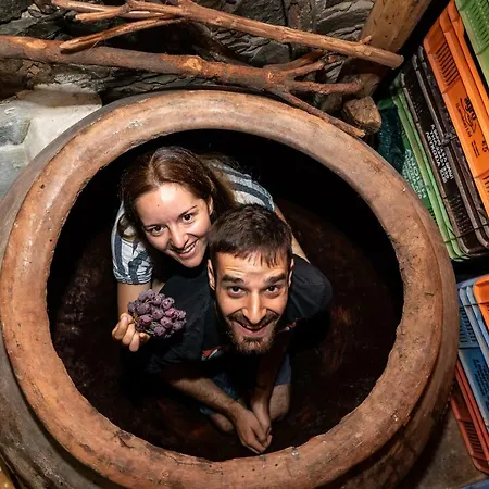 בית הארחה Hatzikyprianou Museum