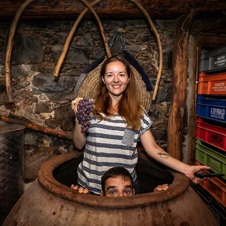 Hatzikyprianou Museum בית הארחה 3*