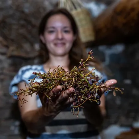 Hatzikyprianou Museum בית הארחה Lazania