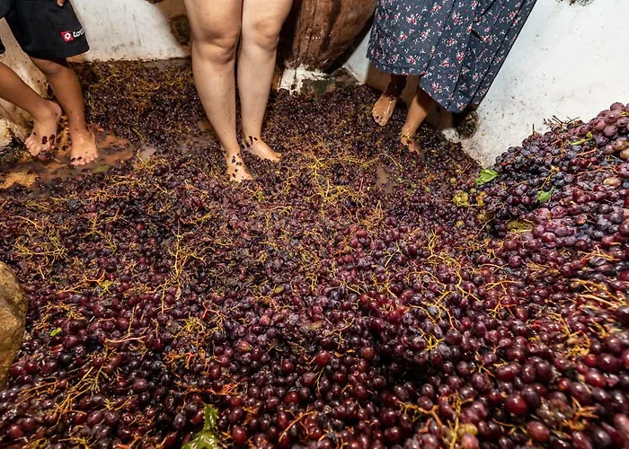 Gasthuis Hatzikyprianou Museum