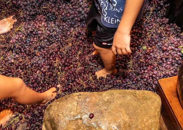 Gasthuis Hatzikyprianou Museum
