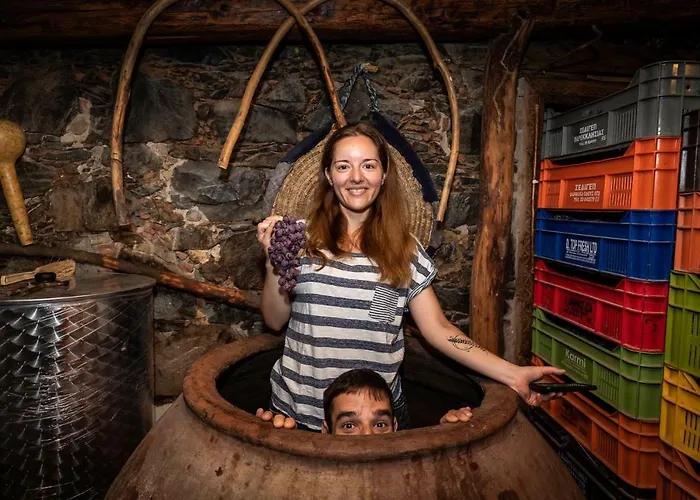 Hatzikyprianou Museum Gasthuis 3*