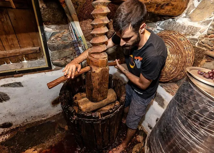 Hatzikyprianou Museum 3* Lazania