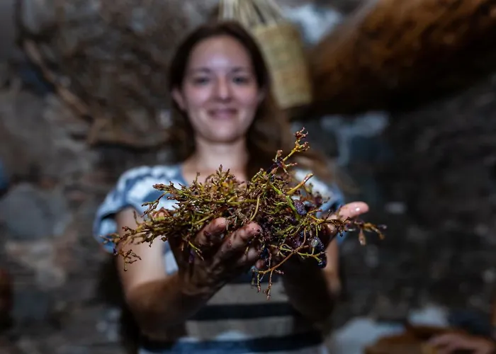 Hatzikyprianou Museum Gasthuis Lazania